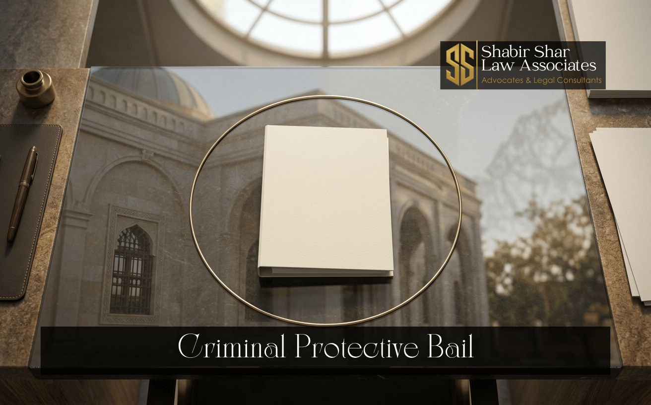 Legal brief in a protected setting representing criminal protective bail proceedings